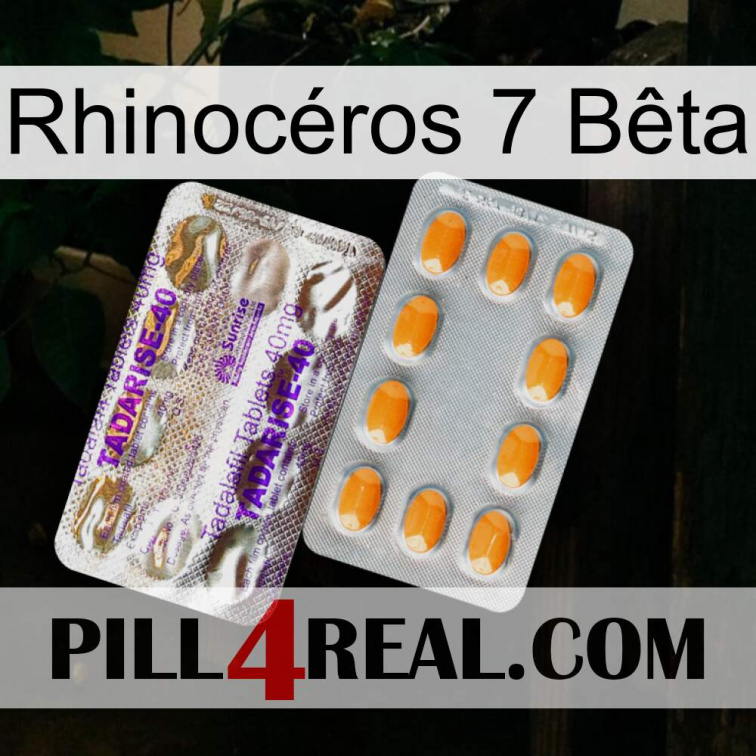Rhinocéros 7 Bêta new12